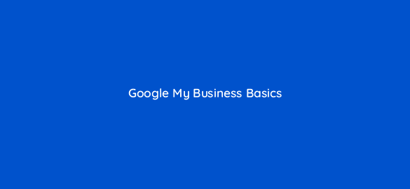 google my business basics 14671
