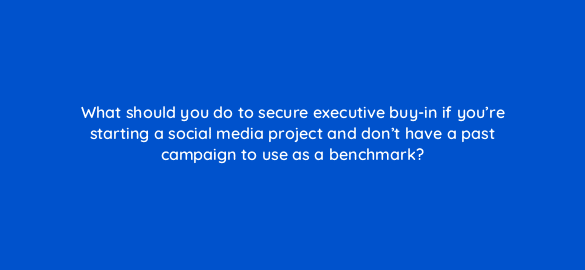 what should you do to secure executive buy in if youre starting a social media project and dont have a past campaign to use as a benchmark 5528