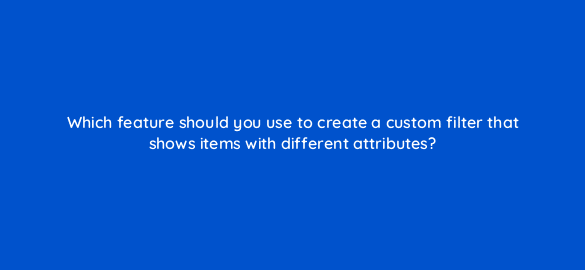 which feature should you use to create a custom filter that shows items with different attributes 2959