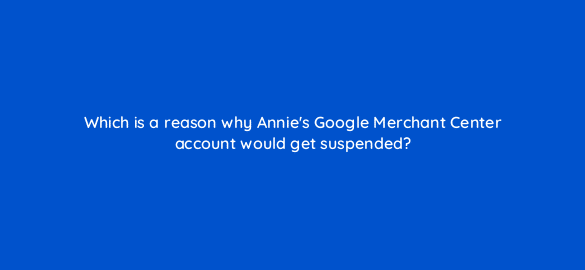 which is a reason why annies google merchant center account would get suspended 2329