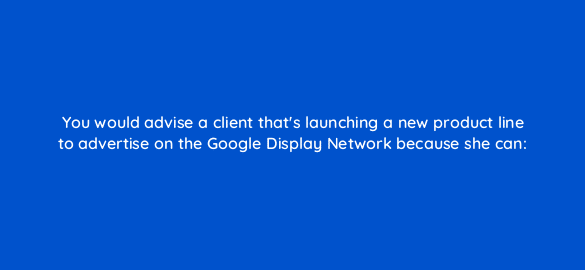 you would advise a client thats launching a new product line to advertise on the google display network because she can 2656