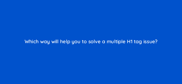 which way will help you to solve a multiple h1 tag issue 110707