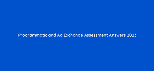 programmatic and ad exchange assessment answers 2023 16818