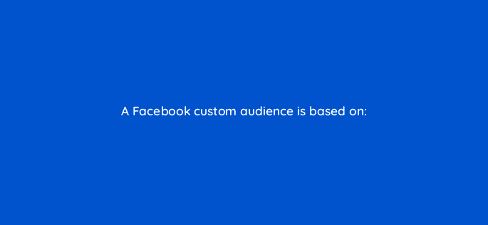 a facebook custom audience is based on 33875