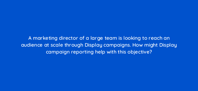 a marketing director of a large team is looking to reach an audience at scale through display campaigns how might display campaign reporting help with this objective 98467
