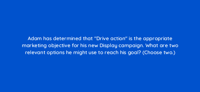 adam has determined that drive action is the appropriate marketing objective for his new display campaign what are two relevant options he might use to reach his goal choose two 20407