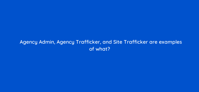 agency admin agency trafficker and site trafficker are examples of what 9781