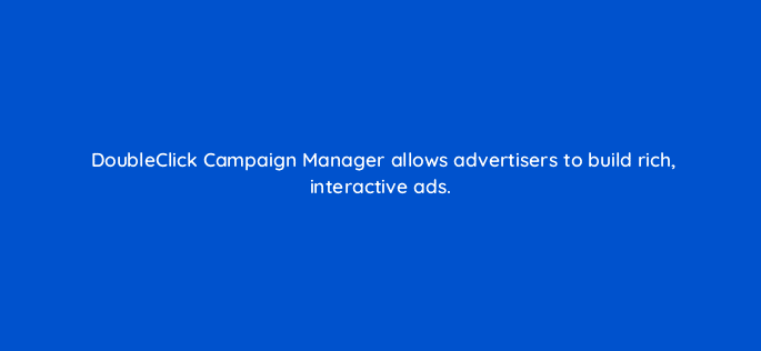 doubleclick campaign manager allows advertisers to build rich interactive ads 11041