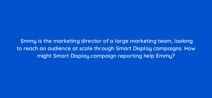 emmy is the marketing director of a large marketing team looking to reach an audience at scale through smart display campaigns how might smart display campaign reporting help emmy 20454