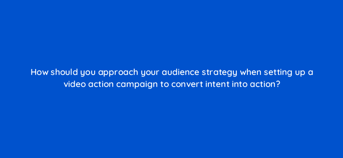 how should you approach your audience strategy when setting up a video action campaign to convert intent into action 112113