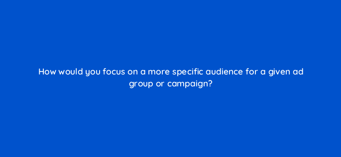 how would you focus on a more specific audience for a given ad group or campaign 2943