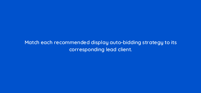 match each recommended display auto bidding strategy to its corresponding lead client 95995