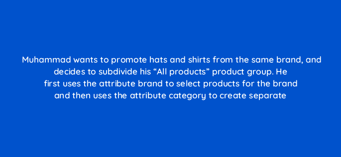 muhammad wants to promote hats and shirts from the same brand and decides to subdivide his all products product group he first uses the attribute brand to select products for the b 2208