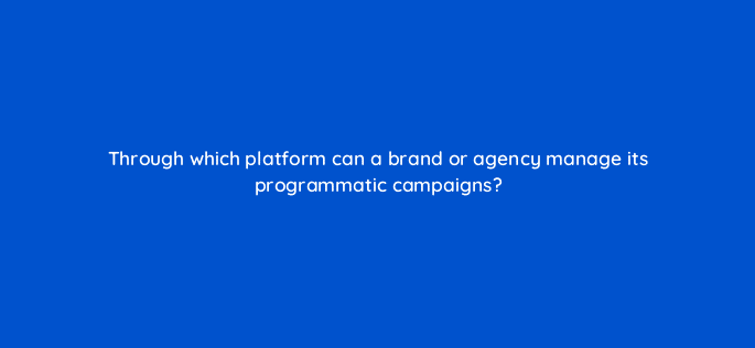 through which platform can a brand or agency manage its programmatic campaigns 126791 2