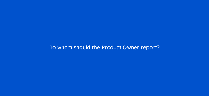 to whom should the product owner report 76632