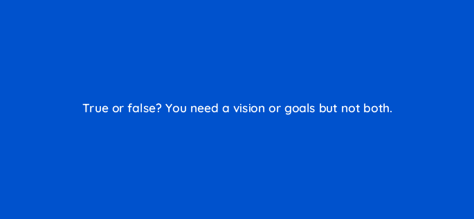 true or false you need a vision or goals but not both 5176