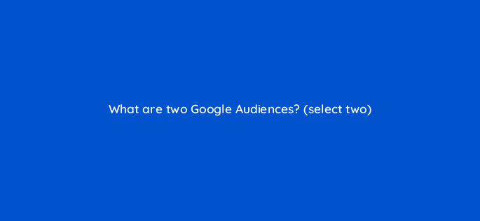 what are two google audiences select two 10079