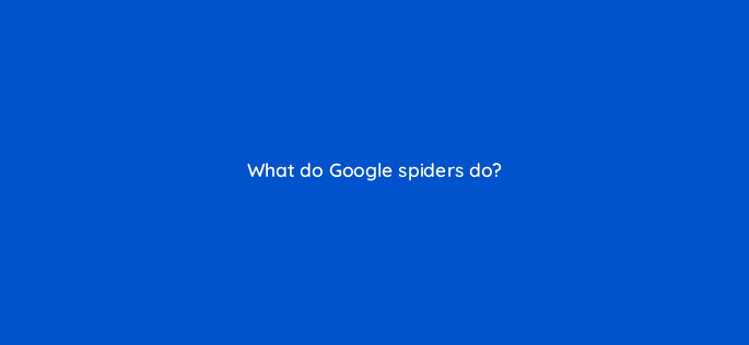 what do google spiders do 110795