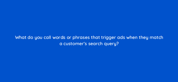 what do you call words or phrases that trigger ads when they match a customers search query 3120