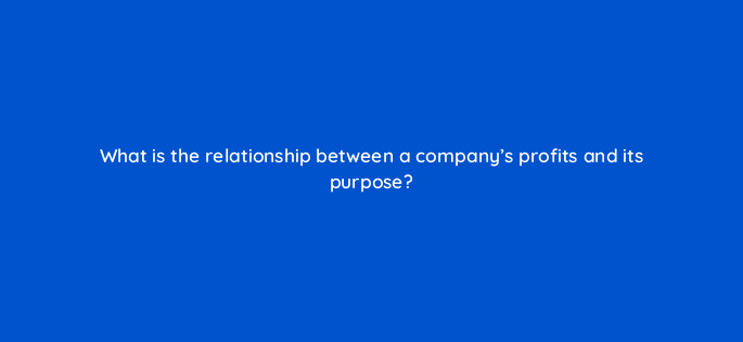 what is the relationship between a companys profits and its purpose 17546