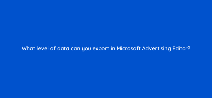 what level of data can you export in microsoft advertising editor 29570