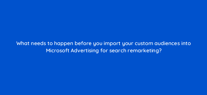 what needs to happen before you import your custom audiences into microsoft advertising for search remarketing 18537