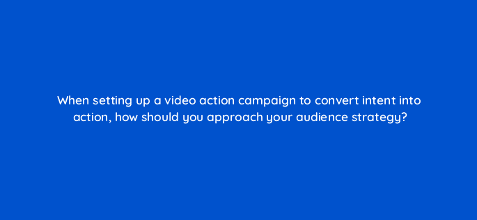 when setting up a video action campaign to convert intent into action how should you approach your audience strategy 112013