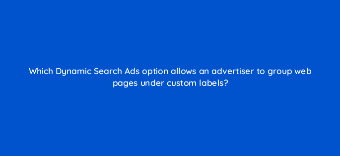 which dynamic search ads option allows an advertiser to group web pages under custom labels 21446