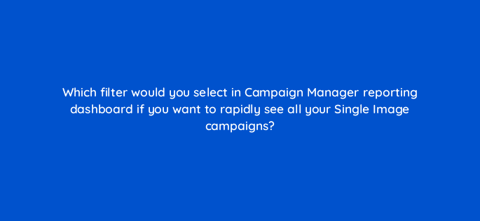 which filter would you select in campaign manager reporting dashboard if you want to rapidly see all your single image campaigns 123656