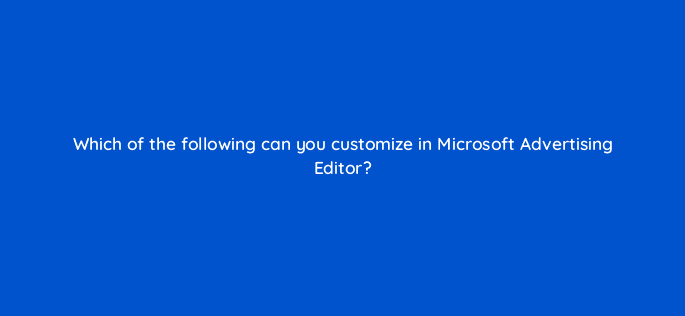 which of the following can you customize in microsoft advertising editor 18546