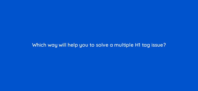 which way will help you to solve a multiple h1 tag issue 110707