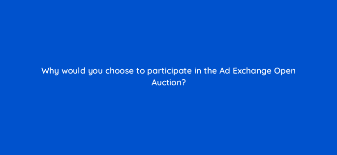 why would you choose to participate in the ad exchange open auction 13469