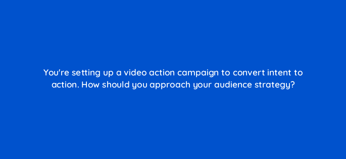 youre setting up a video action campaign to convert intent to action how should you approach your audience strategy 112049