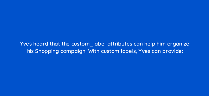 yves heard that the custom label attributes can help him organize his shopping campaign with custom labels yves can provide 2248