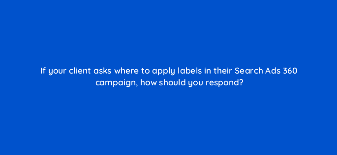 if your client asks where to apply labels in their search ads 360 campaign how should you respond 160673