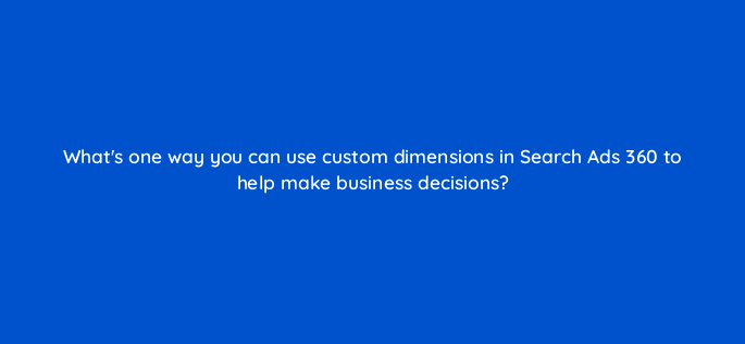 whats one way you can use custom dimensions in search ads 360 to help make business decisions 160845