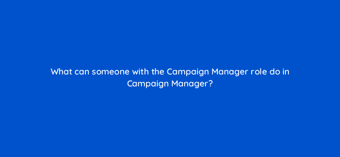 what can someone with the campaign manager role do in campaign manager 163221