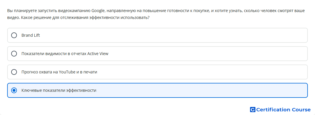 Вы планируете запустить видеокампанию Google напра