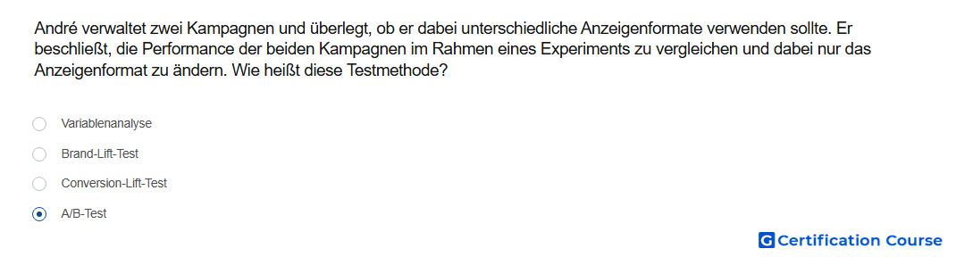 Andre verwaltet zwei Kampagnen und uberlegt ob er dabei unterschiedliche Anzeigenformate verwenden sollte Er beschliest die Perfor