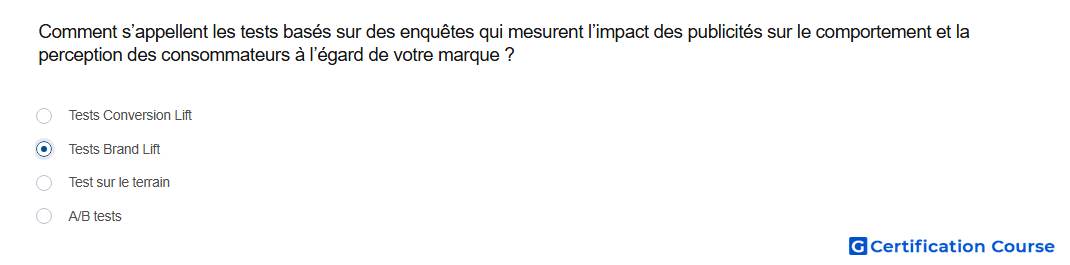Comment s appellent les tests bases sur des enquetes qui mesurent l impact des publicites sur le comportement et la perception des