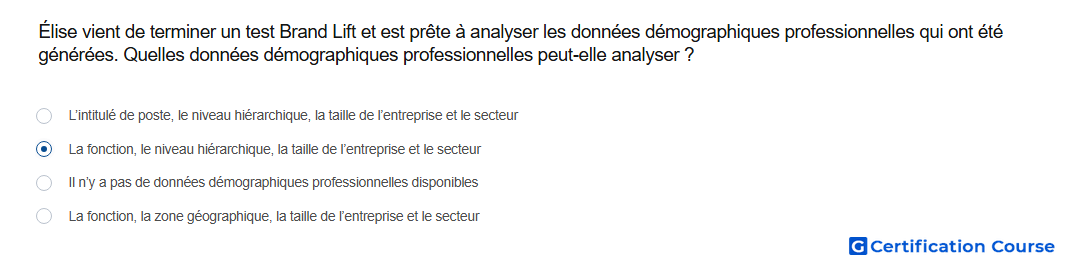 Elise vient de terminer un test Brand Lift et est prete a analyser les donnees demographiques professionnelles qui ont ete generee