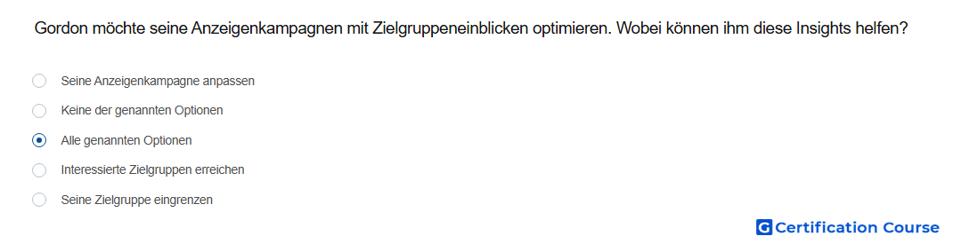 Gordon mochte seine Anzeigenkampagnen mit Zielgruppeneinblicken optimieren Wobei konnen ihm diese Insights helfen
