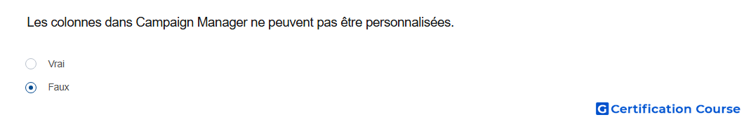 Les colonnes dans Campaign Manager ne peuvent pas etre personnalisees