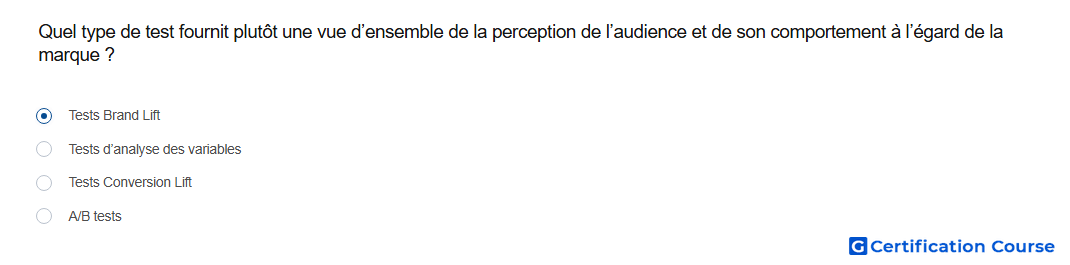 Quel type de test fournit plutot une vue d ensemble de la perception de l audience et de son comportement a l egard de la marque